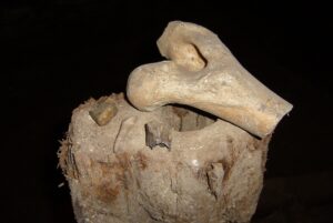 Po stopách tajemství vimperského zámku III