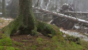 Před sto padesáti lety