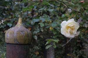 Miniatury: Poslední bělásci