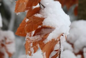 Miniatury: Na šmejčku