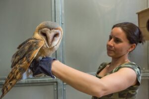 Stovky zachráněných zvířat