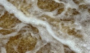 Vimperk – Fotokronika Jana Tláskala – srpen 2024