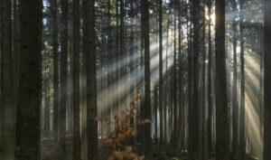 Vimperk – Fotokronika Jana Tláskala – březen 2025