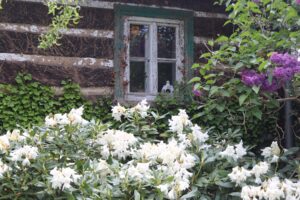 Miniatury : Okna a kočky