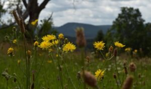 Vimperk – Fotokronika Jana Tláskala – červenec 2025