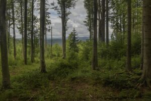 Testovací tip na výlet